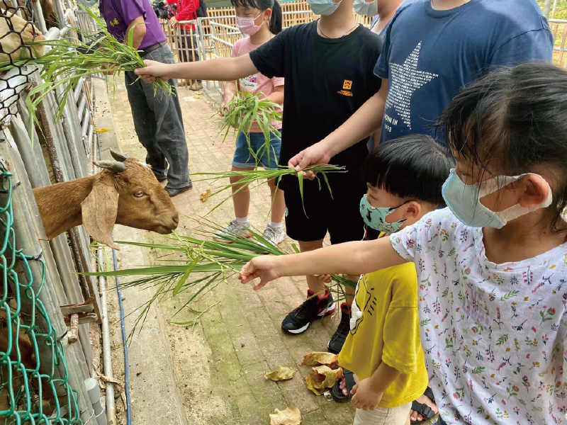 半日遊票券-輕鬆自由行，樂活歡樂GO(單人自由行)