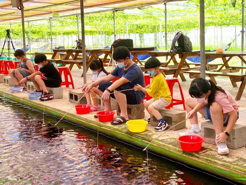 半日遊票券-半日輕旅遊,農作體驗樂趣多(5人成團自由行)