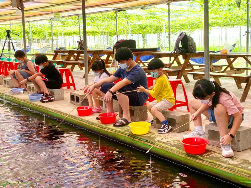 半日遊票券-半日輕旅遊，農作體驗樂趣多(5人成團自由行)